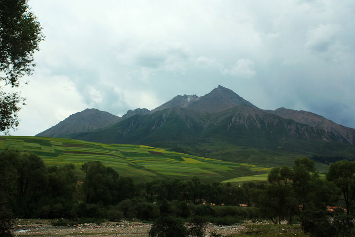img_1653.jpg