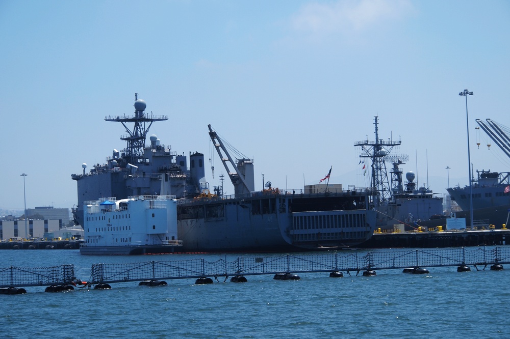 k1111564.jpg