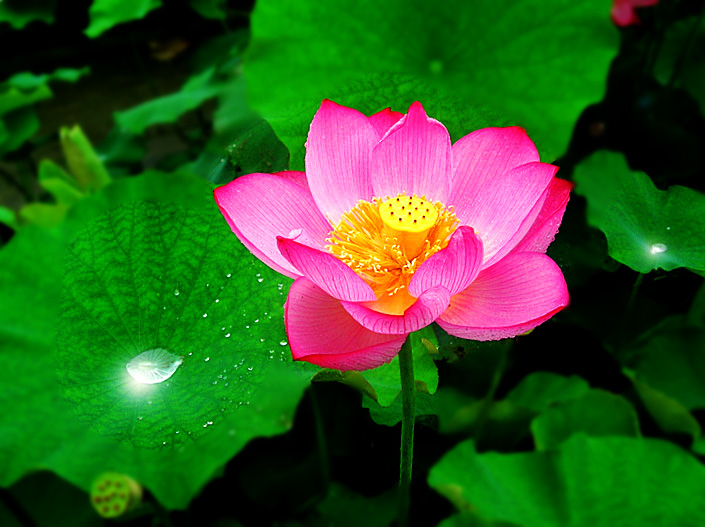 dscn9110__.jpg