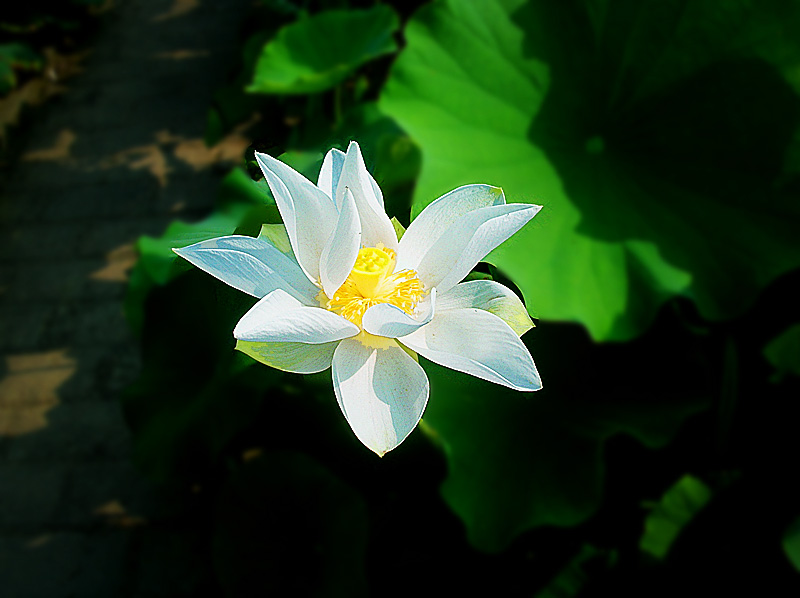 dscn9265_.jpg