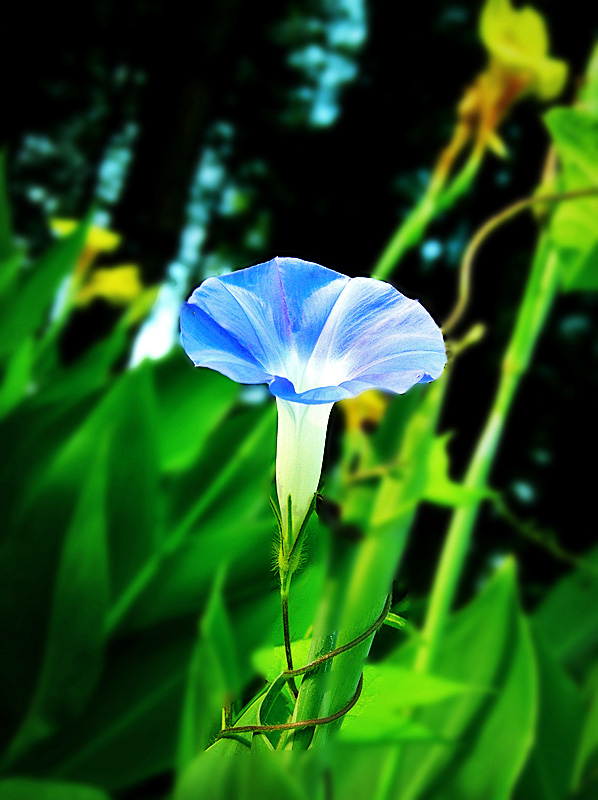 dscn9757_.jpg