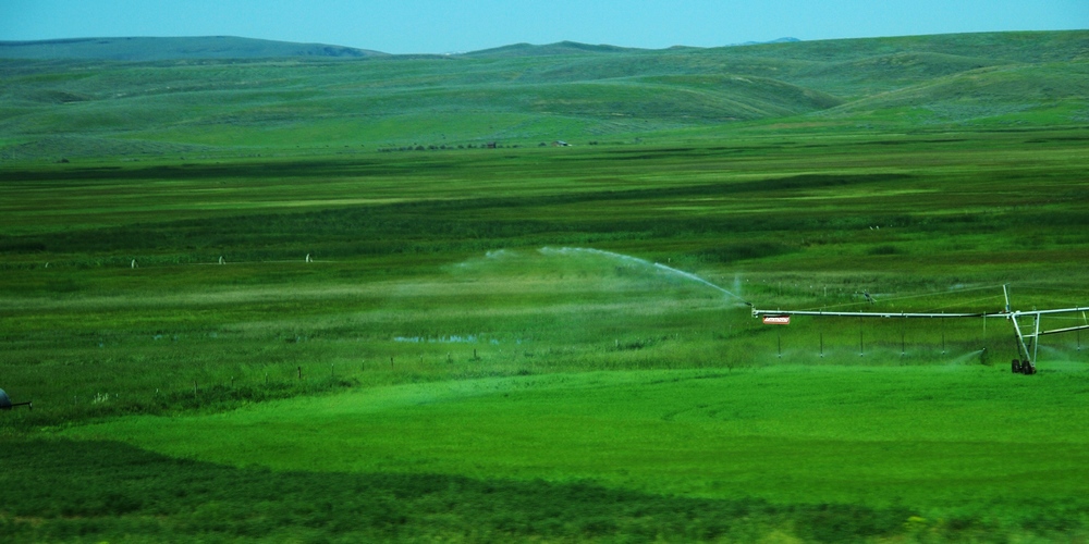 k1152731.jpg