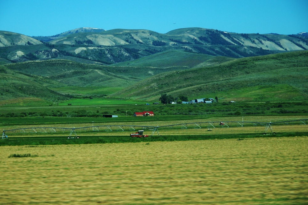 k1152751.jpg