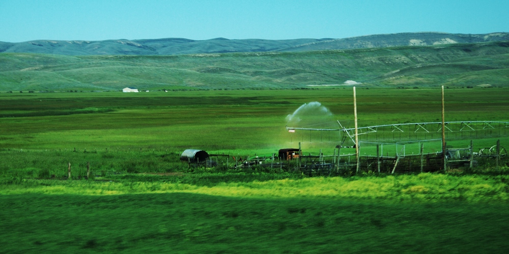 k1152729.jpg