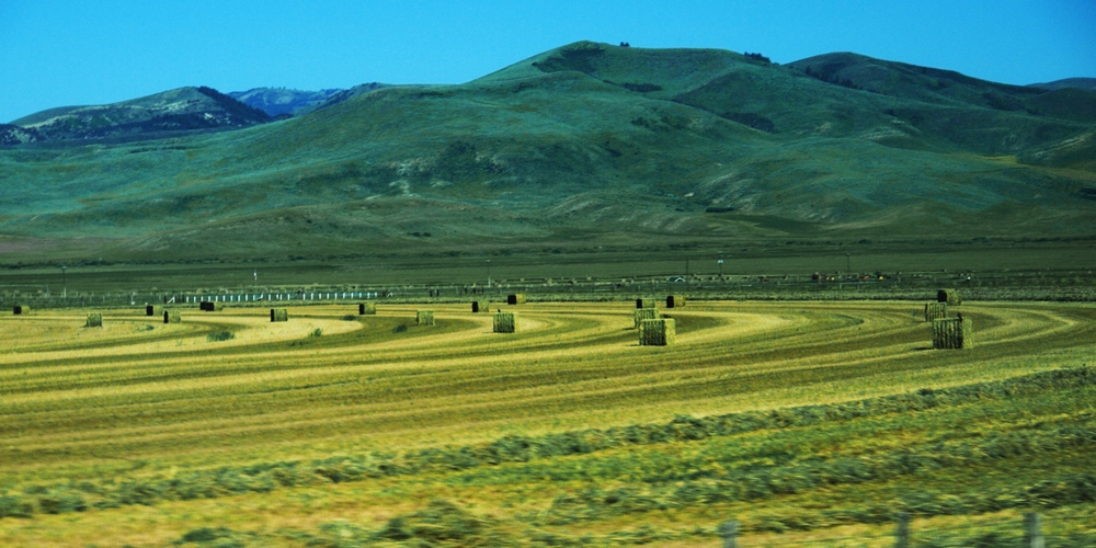 k1152736.jpg