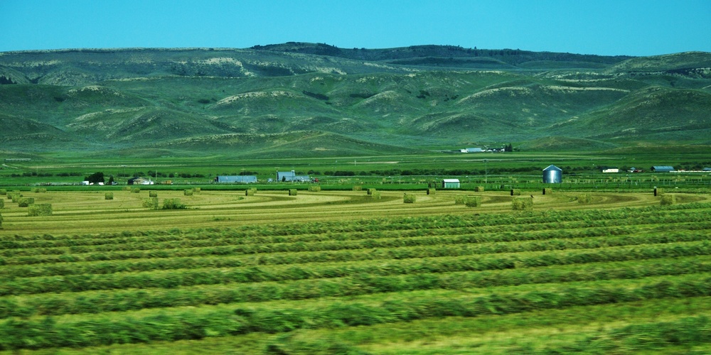 k1152737.jpg
