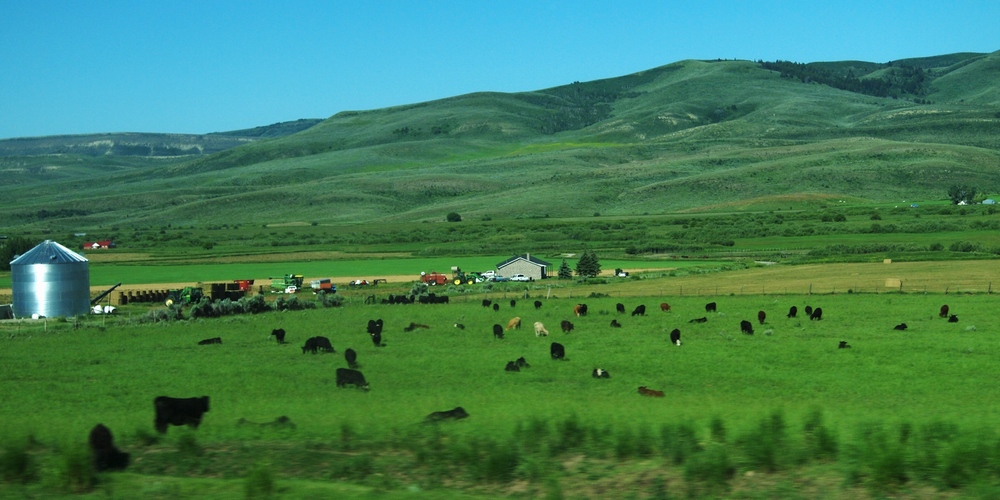 k1152759.jpg