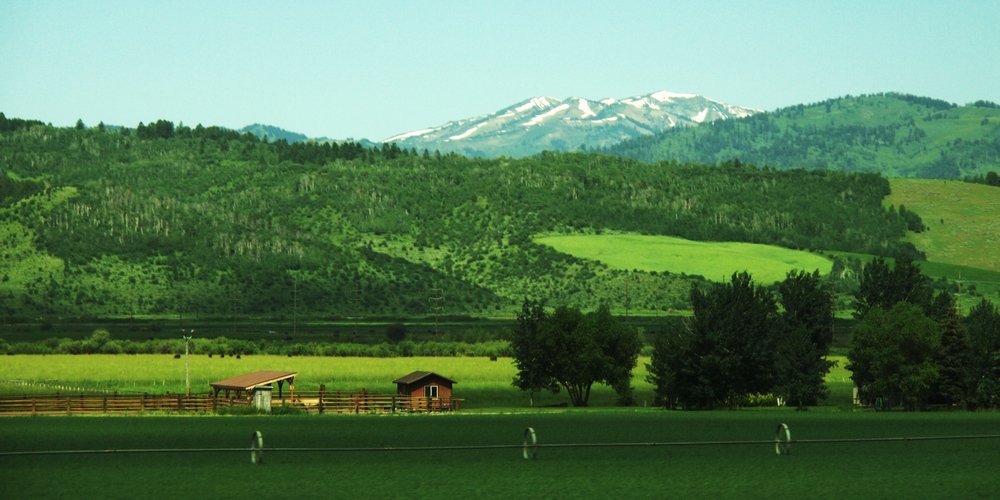 k1162852.jpg