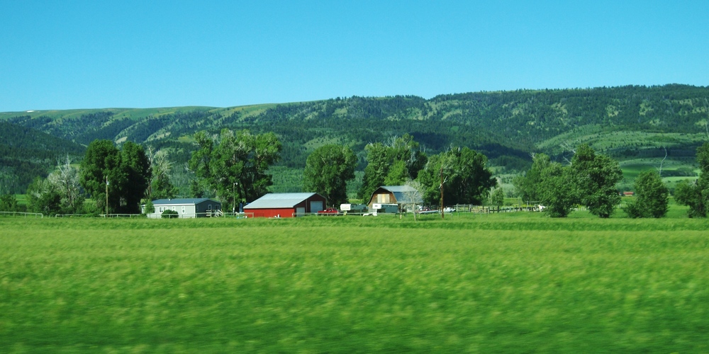 k1162793.jpg