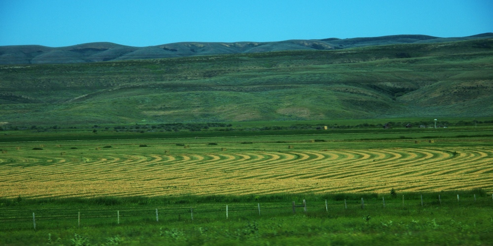 k1152734.jpg