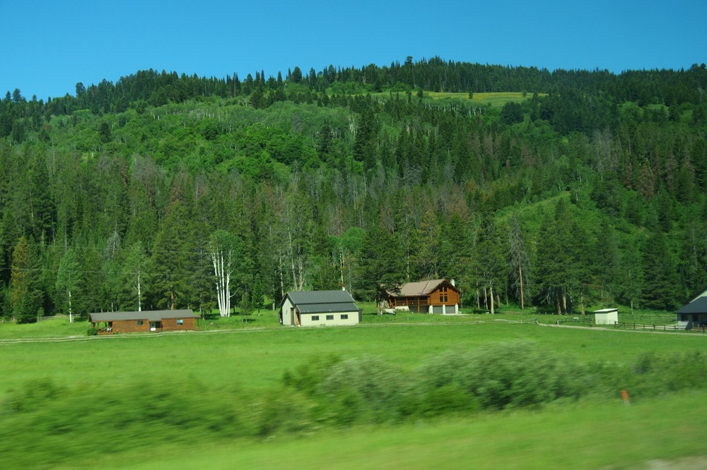 k1162789.jpg
