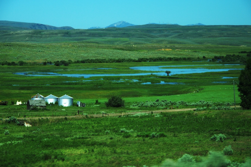 k1152713.jpg