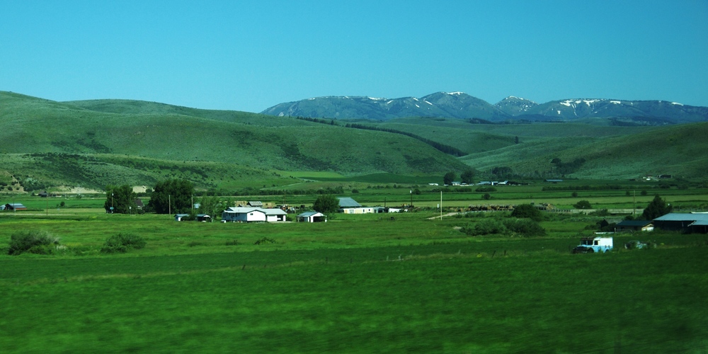 k1152765.jpg