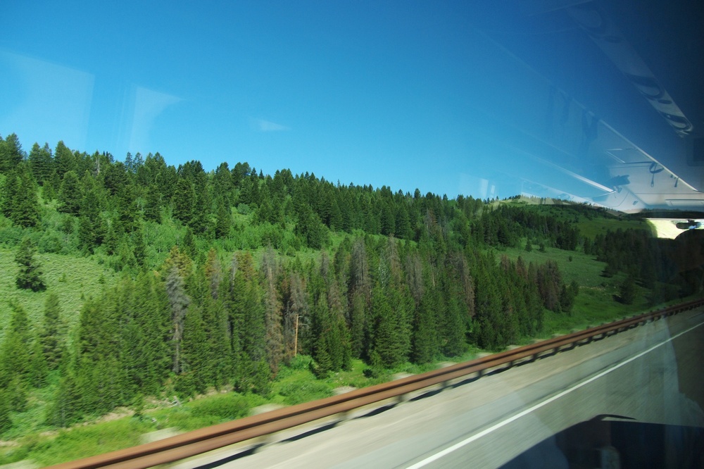 k1162788.jpg