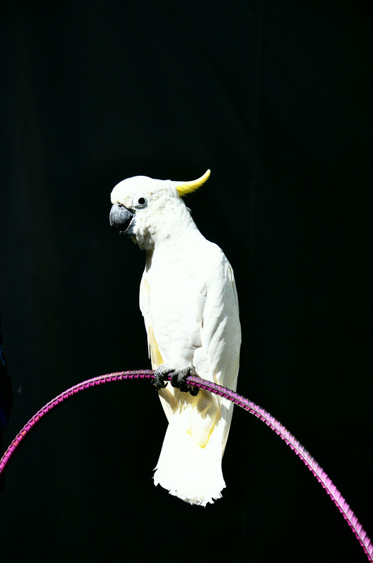 dsc_2257.jpg