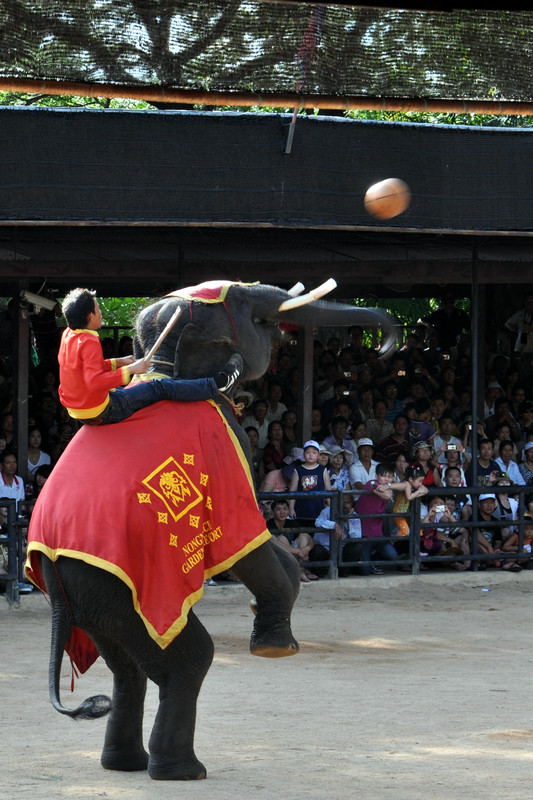 dsc_2393.jpg