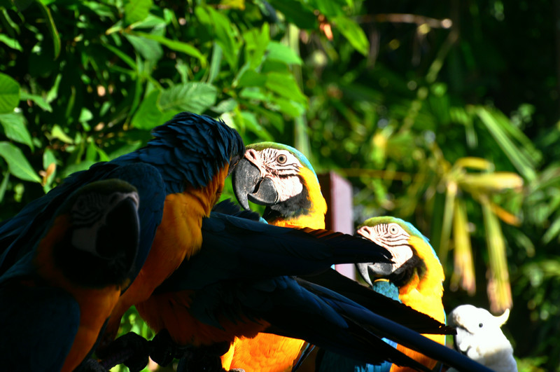 dsc_2507.jpg