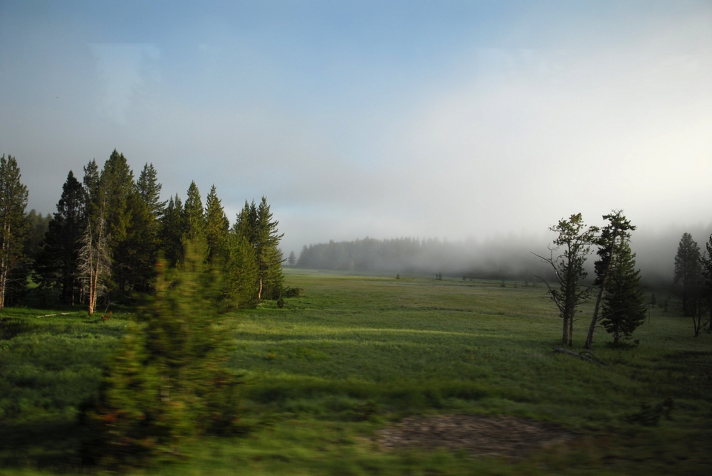 _dsc7117.jpg