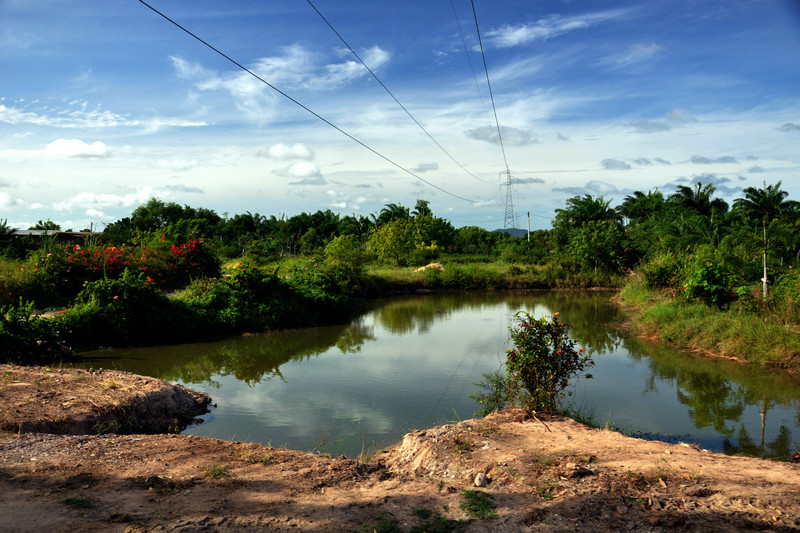 dsc_3254.jpg