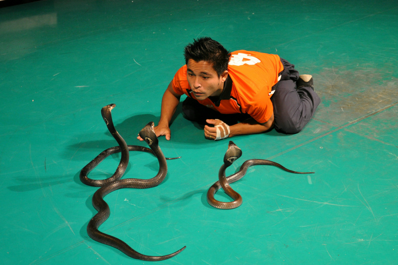 dsc_3486.jpg