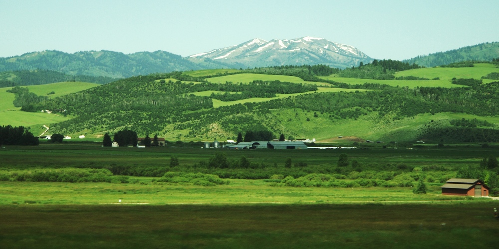 k1162849.jpg