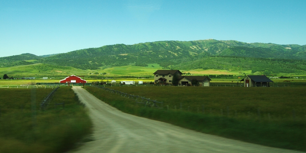 k1162854.jpg