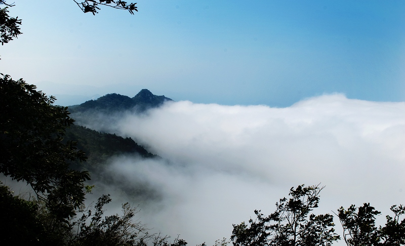 dsc_2736.jpg