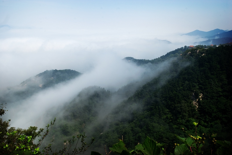 dsc_2773.jpg
