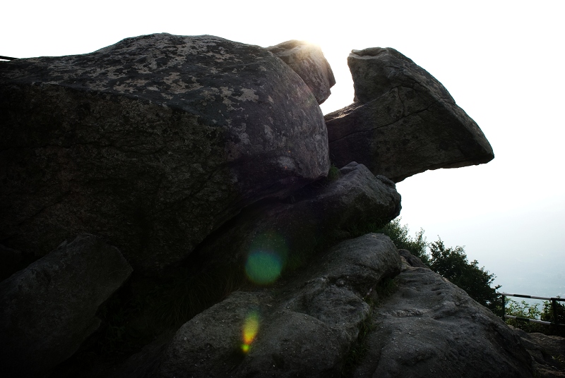dsc_2457.jpg