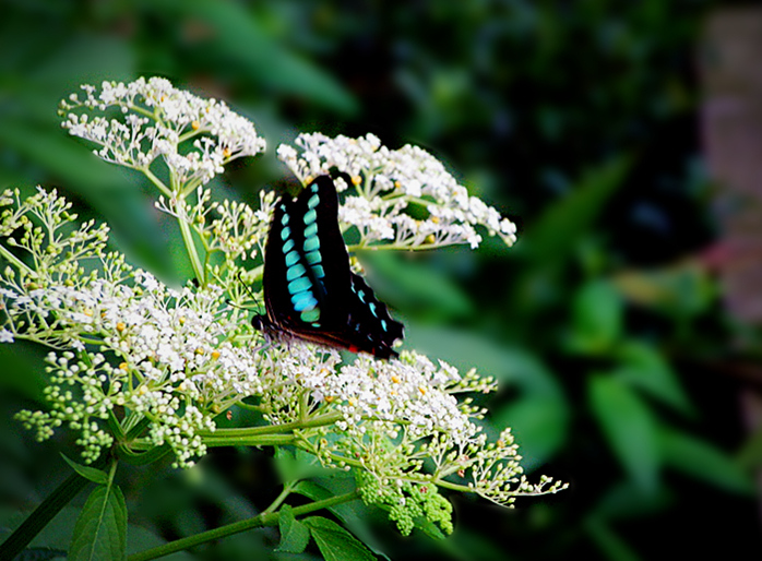 dscn9766_2.jpg