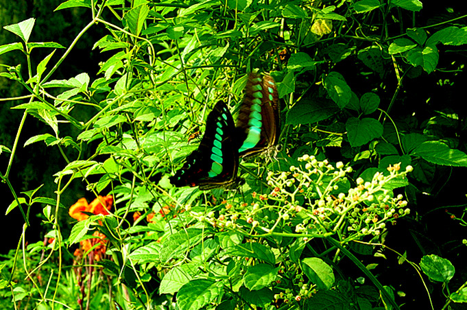dscn9833_.jpg