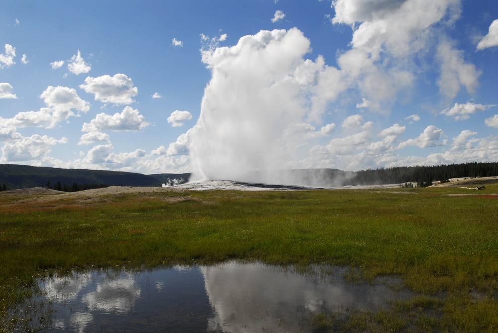 _dsc6805.jpg
