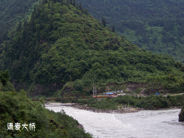 20110616d֥ͨ (40)¡ز.jpg