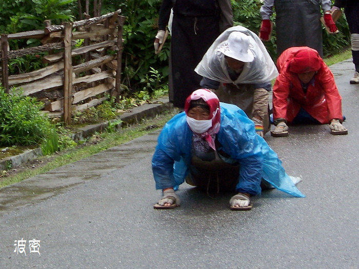20110616f֥ (44)·x.jpg