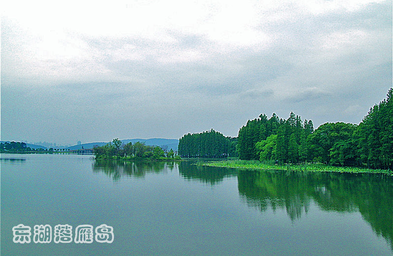 dscn7990_.jpg