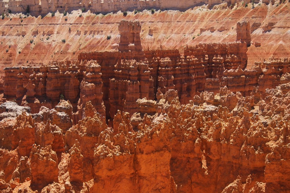 k1152485.jpg