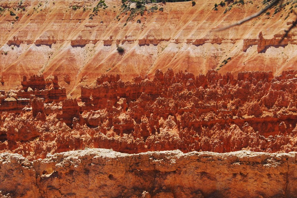 k1152501.jpg