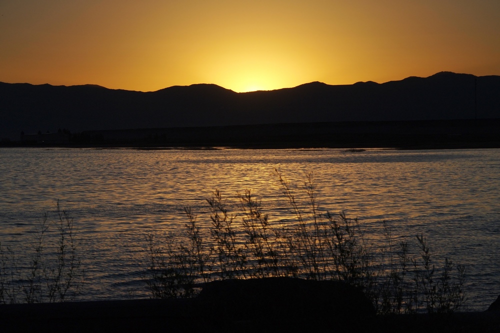 k1152559.jpg