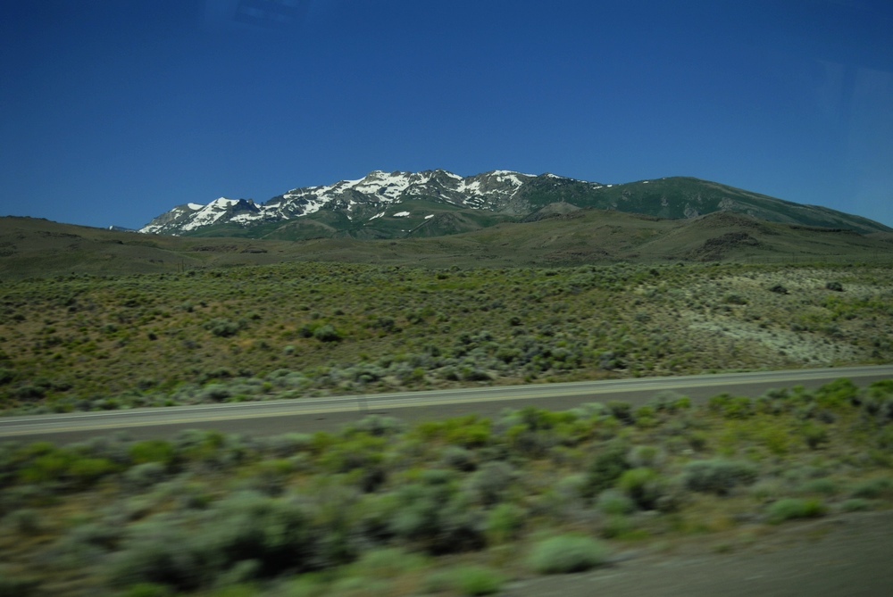 _dsc7411.jpg