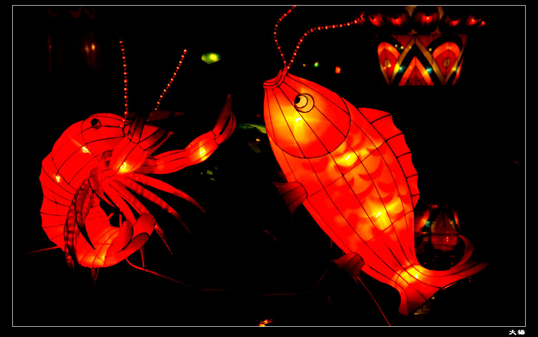 neo_img_20110913 046.jpg