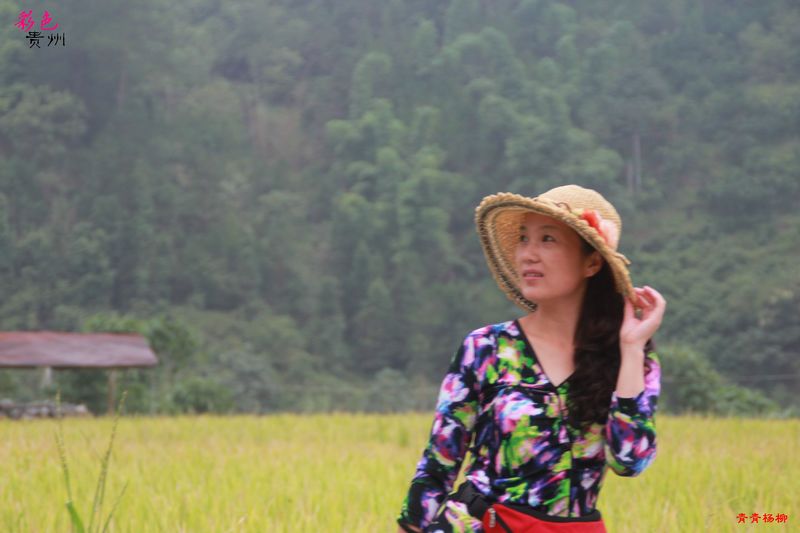 neo_img_img_1179.jpg