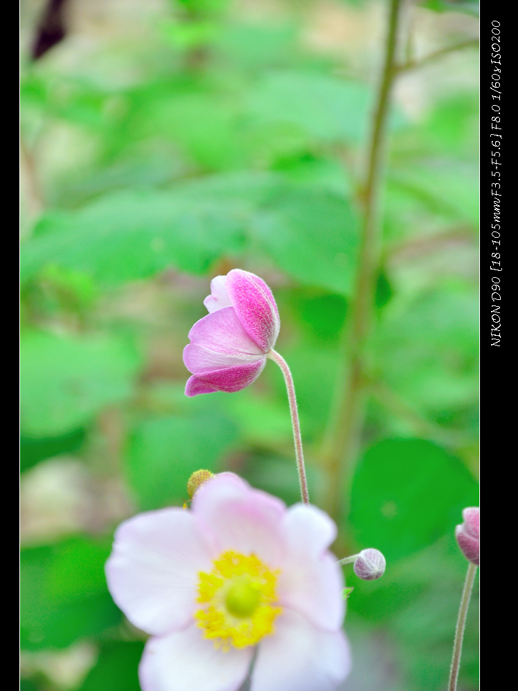 dsc_0023.jpg