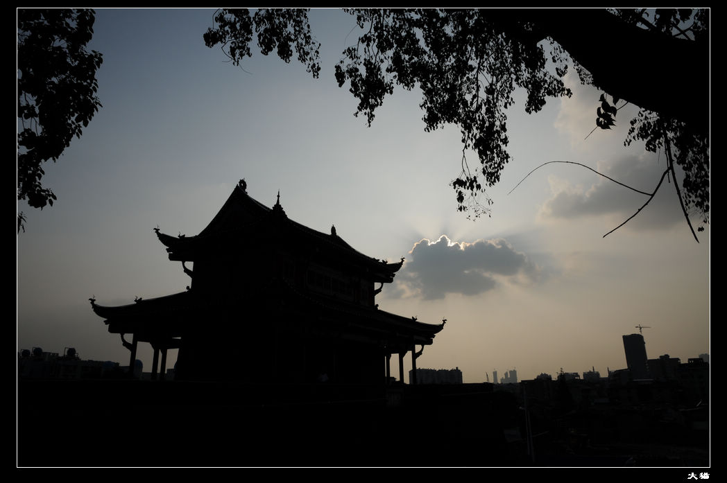 neo_img_dsc_4895.jpg