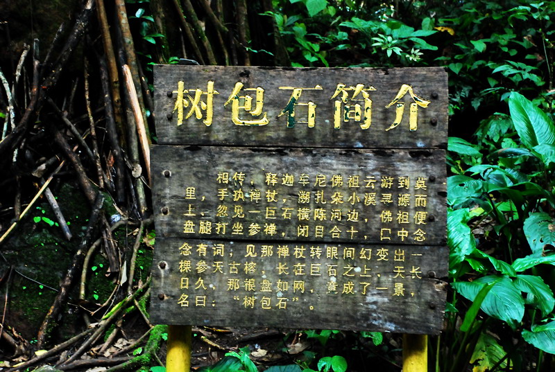 dsc_0107.jpg