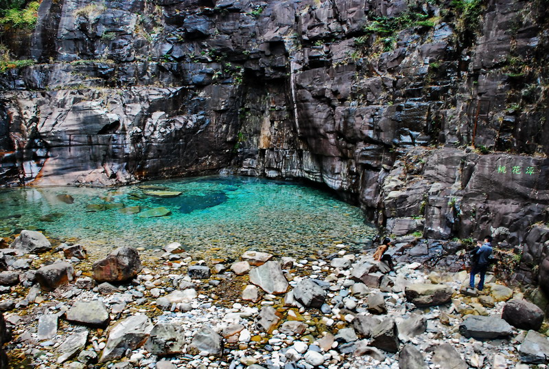 dsc_0210.jpg