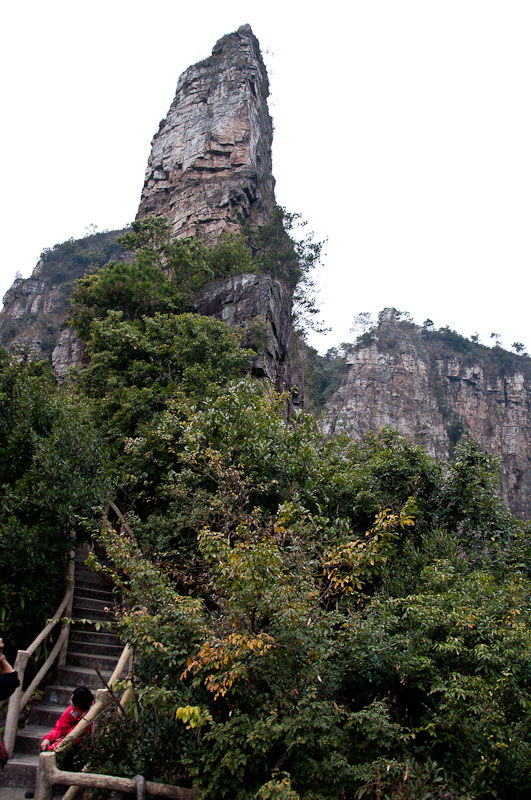 dsc_0133-1.jpg