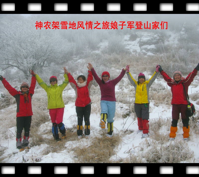 201218001739889.jpg