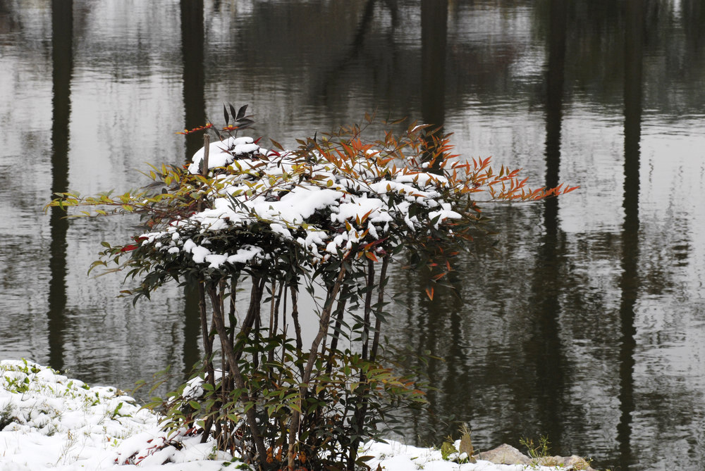 _dsc8784.jpg
