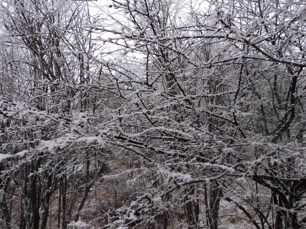 dsc04406.jpg