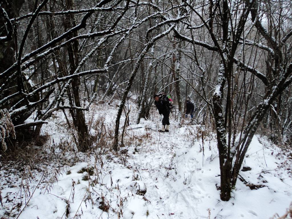 dsc04434.jpg